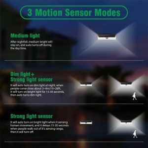 Solar Motion Light