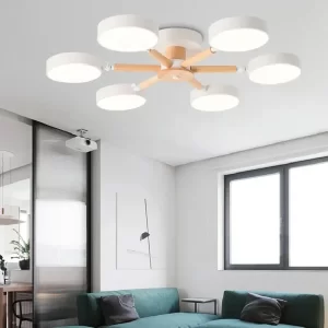 Modern Ceiling Lamp