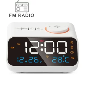FM Radio Alarm Clock
